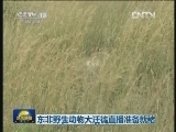东非野生动物大迁徙直播准备就绪