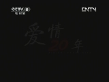 爱情二十年 9集