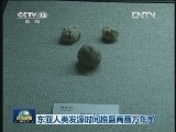 东亚人类发源时间推至两百万年前