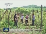 【走基层·我这十年】金司令:永不褪色的情怀