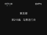 小鸡不好惹第五部 213集