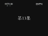 疯丫头之巴宝来了 13集