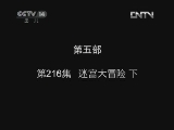 小鸡不好惹第五部 216集