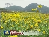 国内联播快讯
