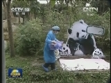 国内联播快讯