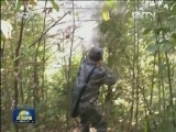 【保护野生动物我们在行动】各地展开联合执法打击野生动物走私贩运