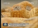 我国今年粮食再获丰收 实现九连增