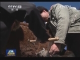 走基层·寻找最美乡村医生——居马泰：带急病孩子回诊所 难关重重