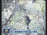 国内联播快讯
