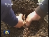 应对低温天气 多部门启动保障举措