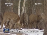 【走基层·在岗位】寒冬里的坚守