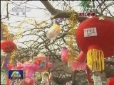 喜庆欢乐新年 共享开心生活
