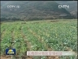 云南部分地区旱情初显