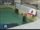 国际联播快讯