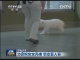 国际联播快讯