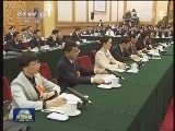 张德江参加广东代表团审议