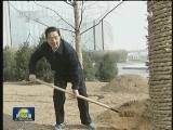 习近平总书记在参加首都义务植树活动时强调 把义务植树深入持久开展下去 为建设美丽中国创造更好生态条件