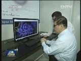 习近平在天津考察时强调 稳中求进推动经济发展 持续努力保障改善民生