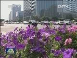 投资环境优化 内外资注入四川