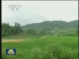 养林护林 福建让林农不砍树也致富
