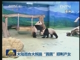 大陆赠台大熊猫“圆圆”顺利产女