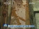 公安部公布四起环境污染重大案件