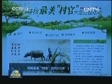 《寻找最美村官》开始接受网络投票