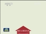 9月居民消费价格总水平同比涨3.1%