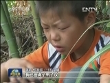 【寻找最美孝心少年】茶园姐弟的心事