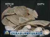 国内联播快讯