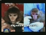国际联播快讯