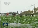 今年我国将建立不动产统一登记平台