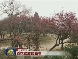 国内联播快讯