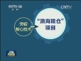“渤海粮仓”迎来第一个丰收季