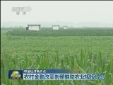 【中国经济新亮点】农村金融改革创新推动农业规模经营
