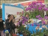 国内联播快讯