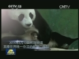 熊猫频道视频在美播出受关注