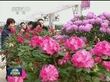 年味渐浓迎新春