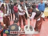 浓情暖意过大年