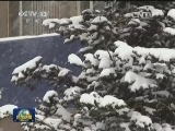 东北风雪江南雾 假日出行添“阻”