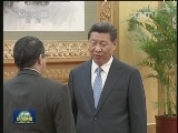 习近平接受九国新任驻华大使递交国书