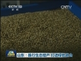 山东：推行生态增产 打造绿色粮仓