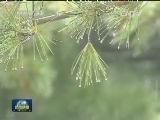 我国多地持续强降雨