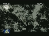 【数说命运共同体】远方的包裹
