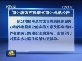 审计署发布稳增长审计结果公告