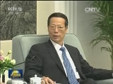 张高丽会见玻利维亚副总统