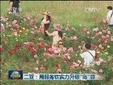 三亚：用服务软实力升级“岛”游