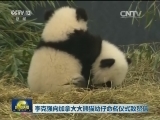 李克强向加拿大大熊猫幼仔命名仪式致贺信