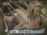 农业部：猪肉价格继续上涨空间有限