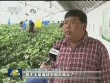 三产融合 助力都市现代农业发展